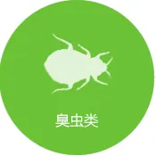 臭虫防治