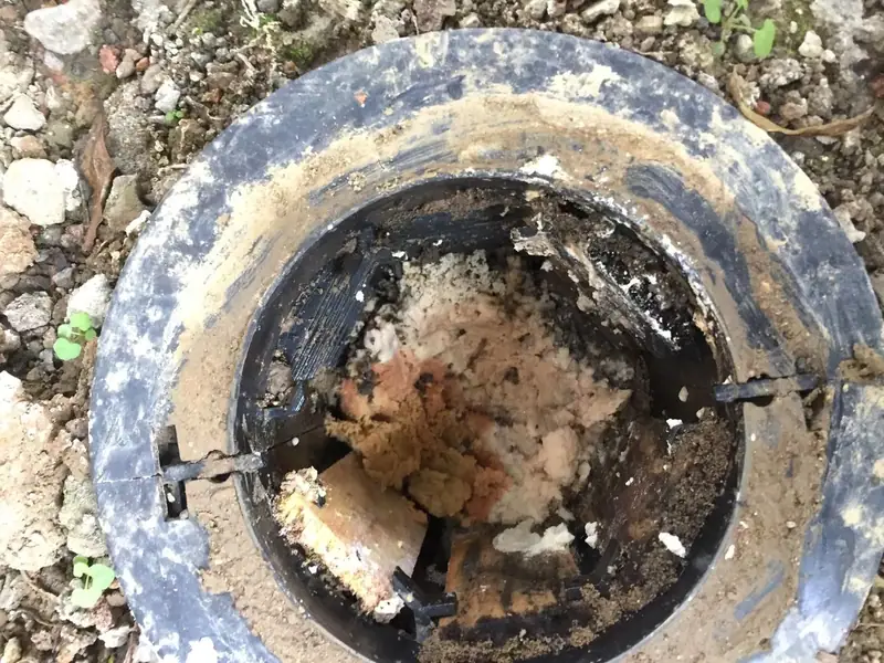 快立克环保白蚁防治现场记录:手握白蚁巢穴(显示内部结构)