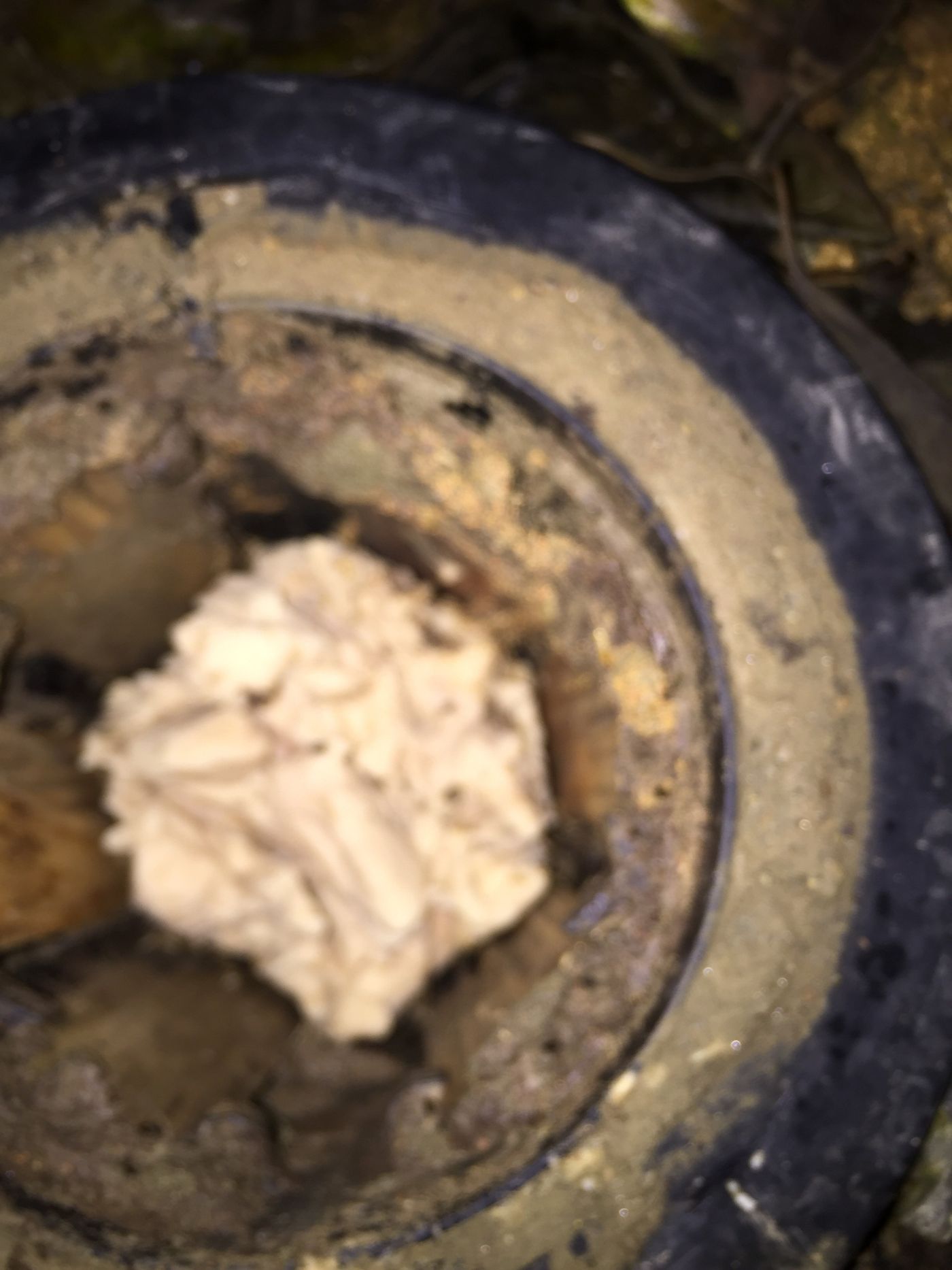 快立克环保白蚁防治现场作业实拍:处理后的基座
