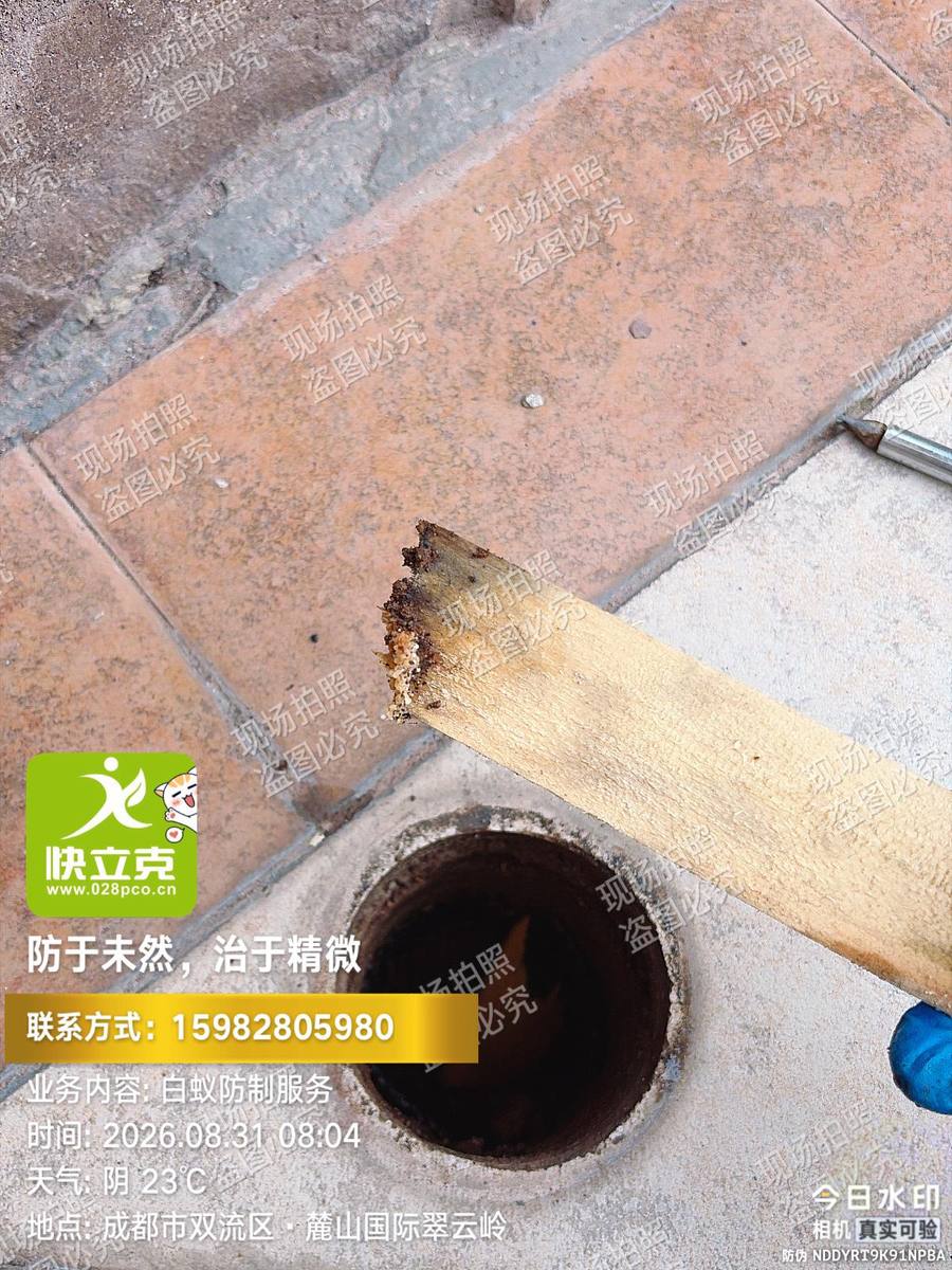艾氏白蚁拦截系统安装与年度检查|检查记录与点位台账登记