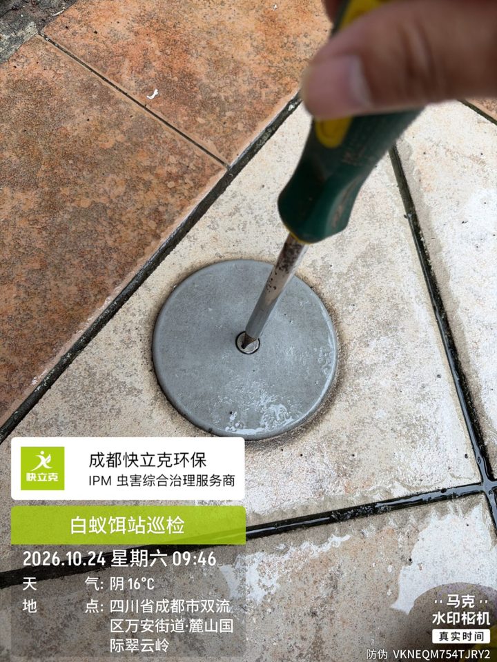 按站投放饵剂并回填,站号与巡检台账一一对应(2026-10-24 现场实拍)