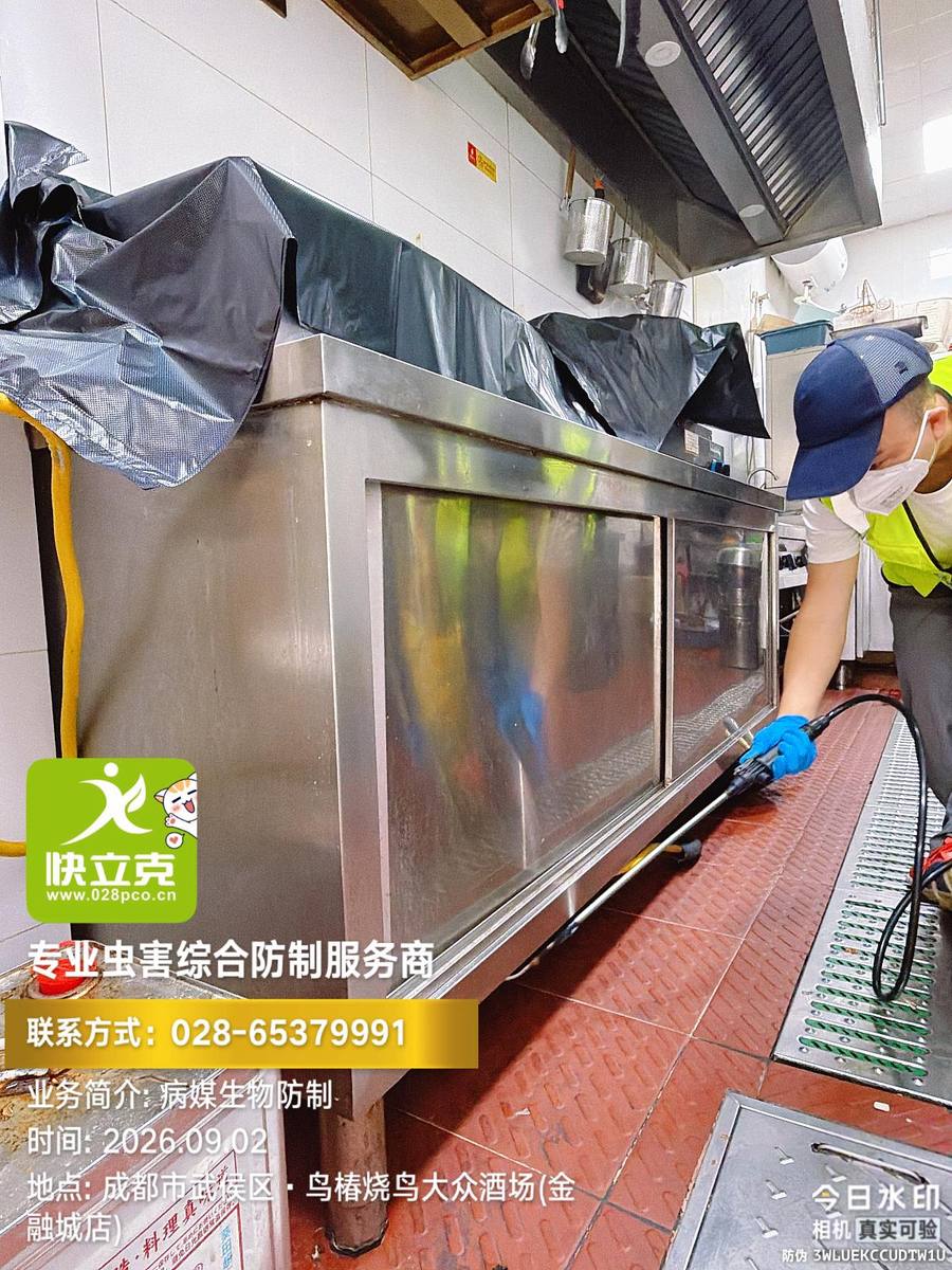 象南里餐饮门店虫害防制|管线穿墙缝隙排查