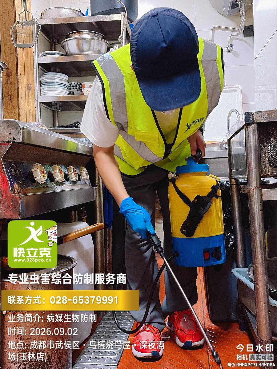 象南里餐饮门店虫害防制|点位布设与物理设施安装
