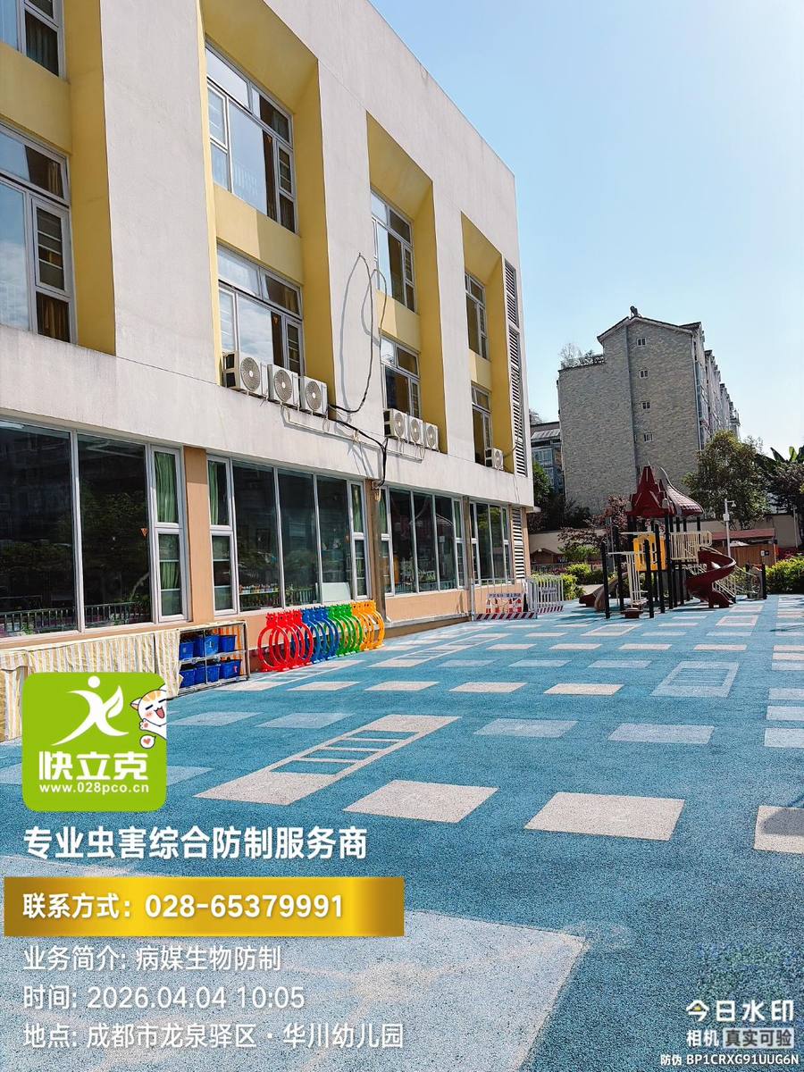 龙泉驿区华川幼儿园四害防制｜园区出入口与围墙外围勘查