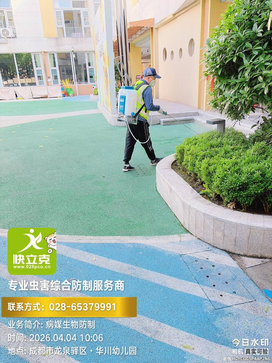 龙泉驿区华川幼儿园四害防制｜教室内部点位检查
