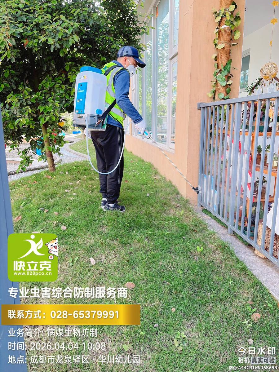 龙泉驿区华川幼儿园四害防制｜卫生间与盥洗区处理