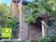 麓山国际别墅区白蚁防治