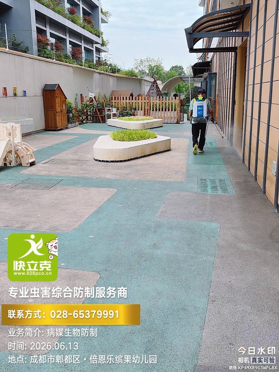 郫都区倍恩乐缤果幼儿园四害防制|教室与午睡室点位检查
