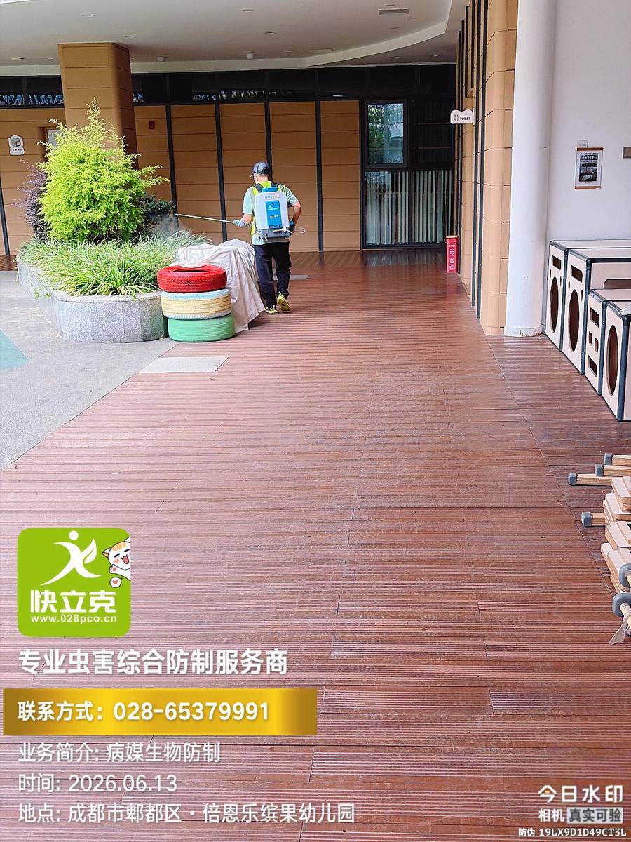 郫都区倍恩乐缤果幼儿园四害防制|食堂与备餐间重点部位处理