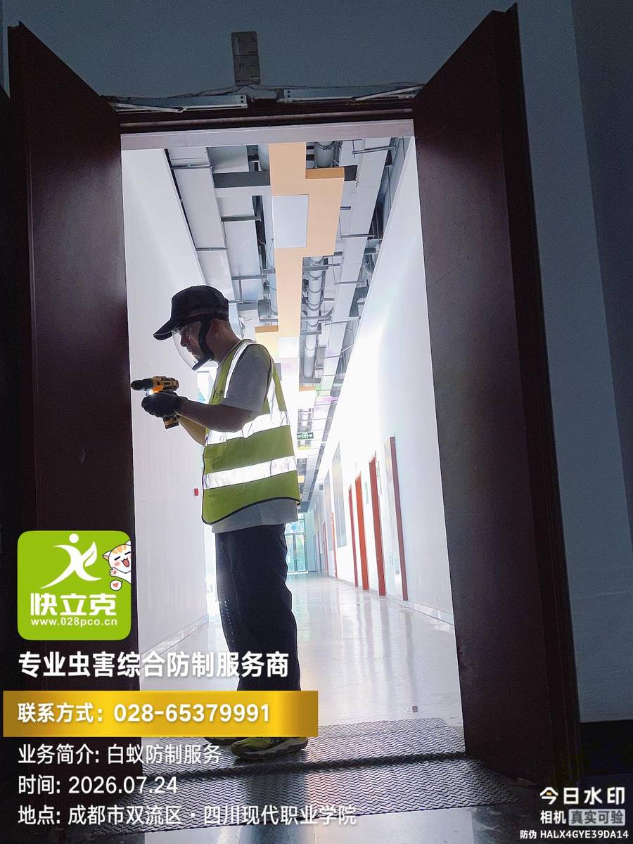 四川现代职业学院白蚁灌注施工|灌注后孔位封堵恢复