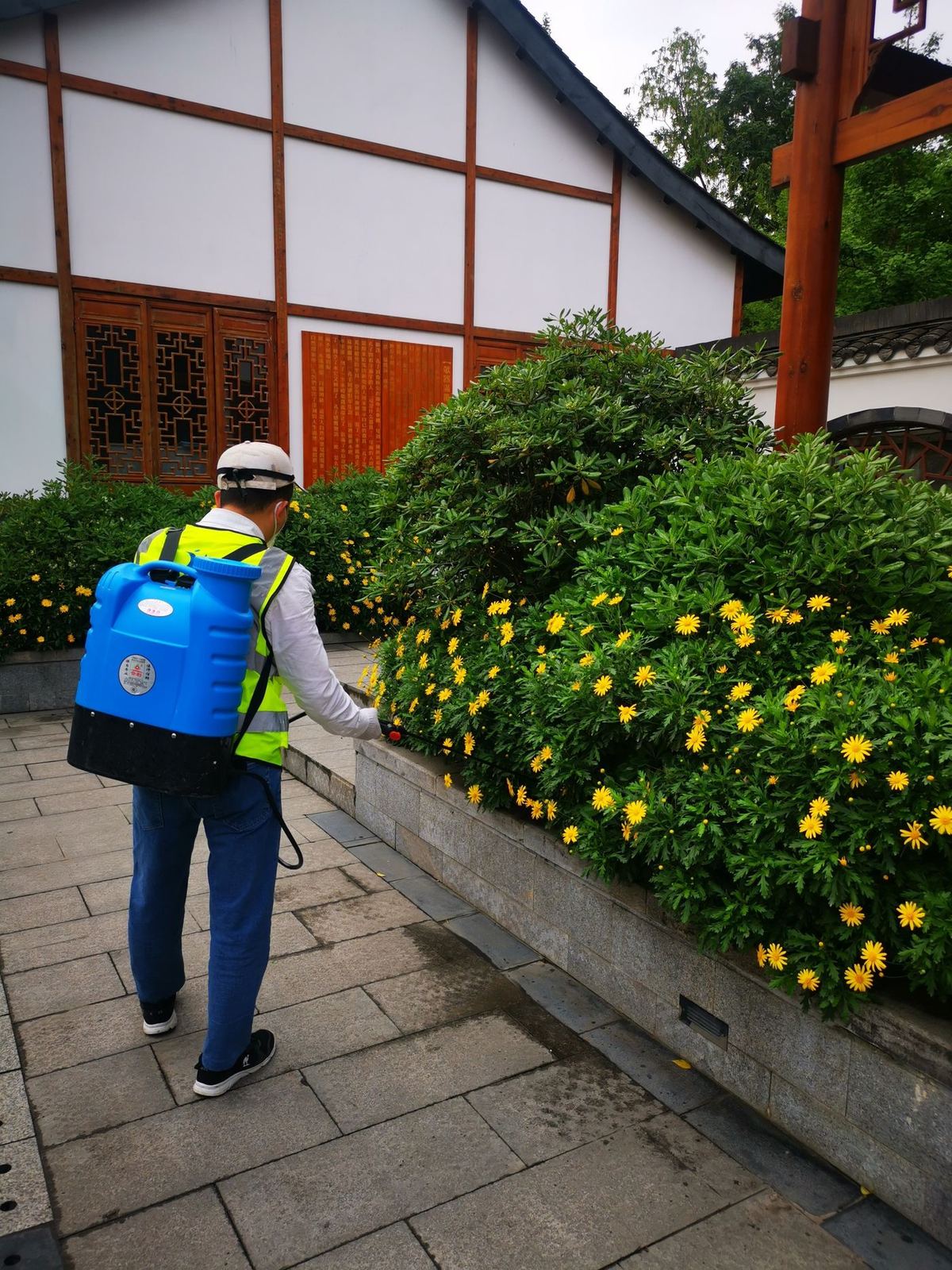 快立克环保四害消杀现场作业实拍：花园区域（有黄色花朵）工作人员进行地面作业