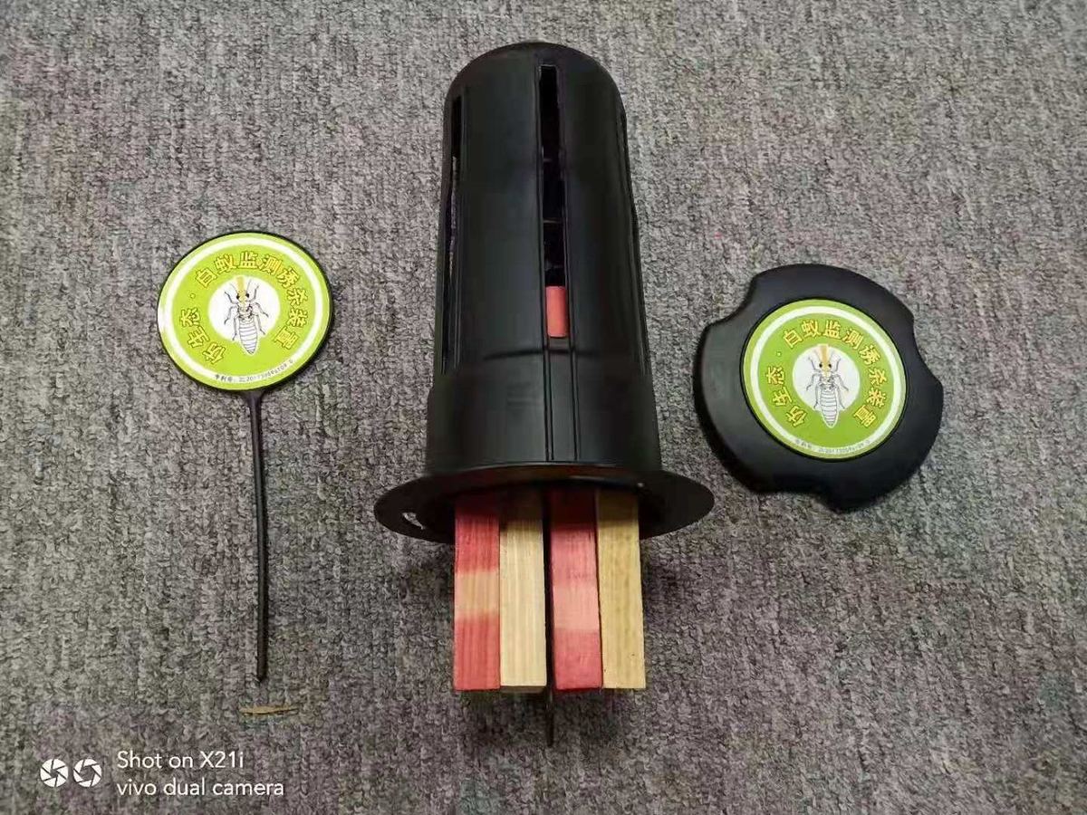 快立克环保四害消杀现场作业实拍:工作人员在庭院中,进行作业(可能喷洒)
