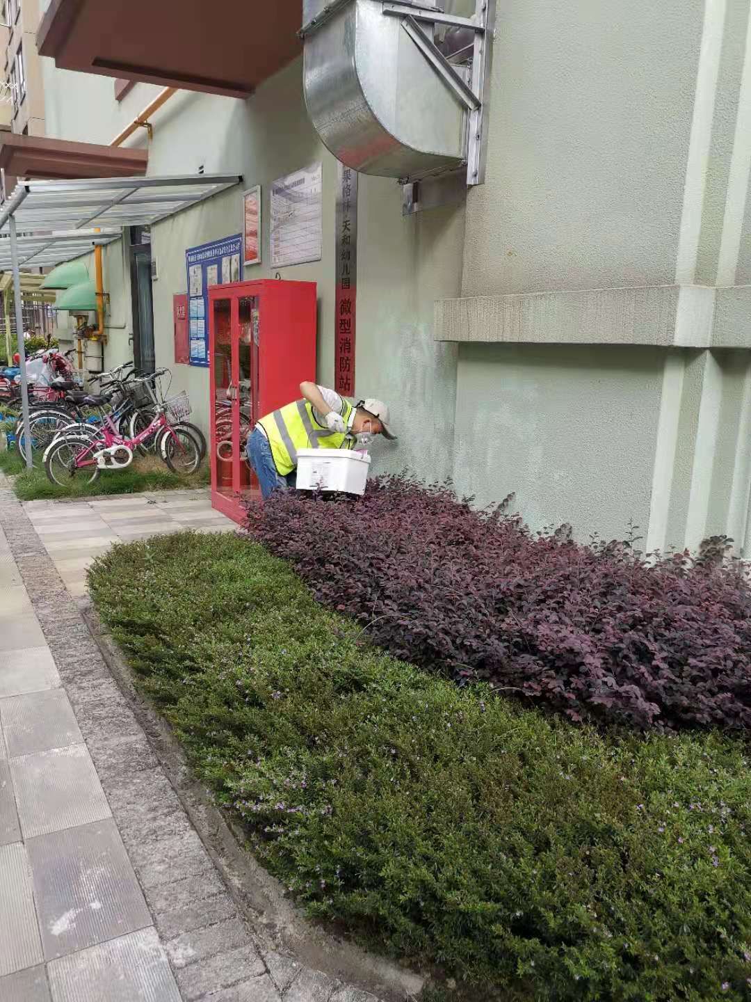 快立克环保环境或建筑现场记录:庭院绿化区域,有草坪和灌木