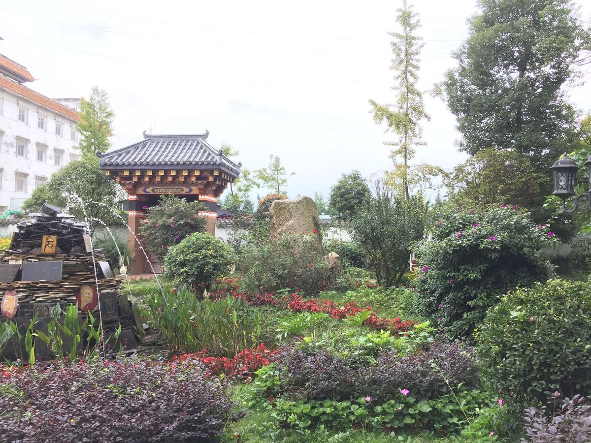 快立克环保环境或建筑现场记录：庭院花园，有灌木和花卉