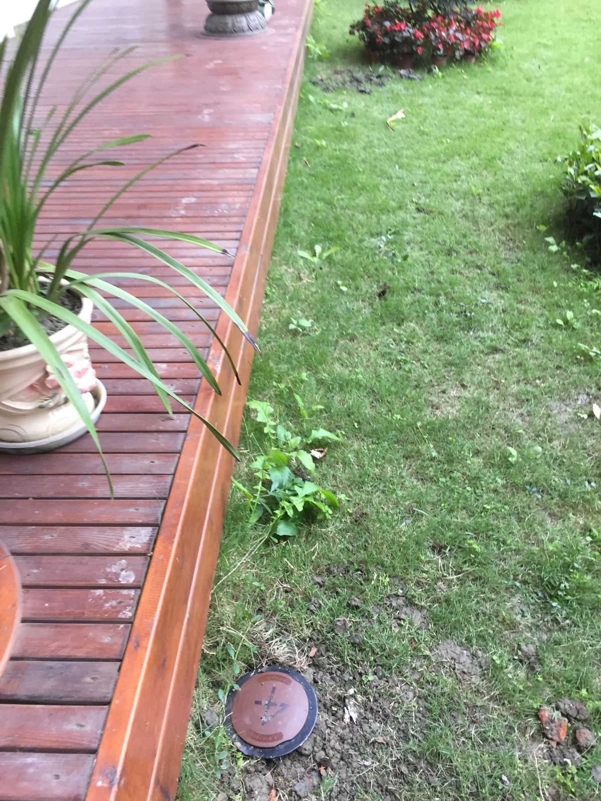 快立克环保环境或建筑现场记录:花园绿地,砖石小径,植被