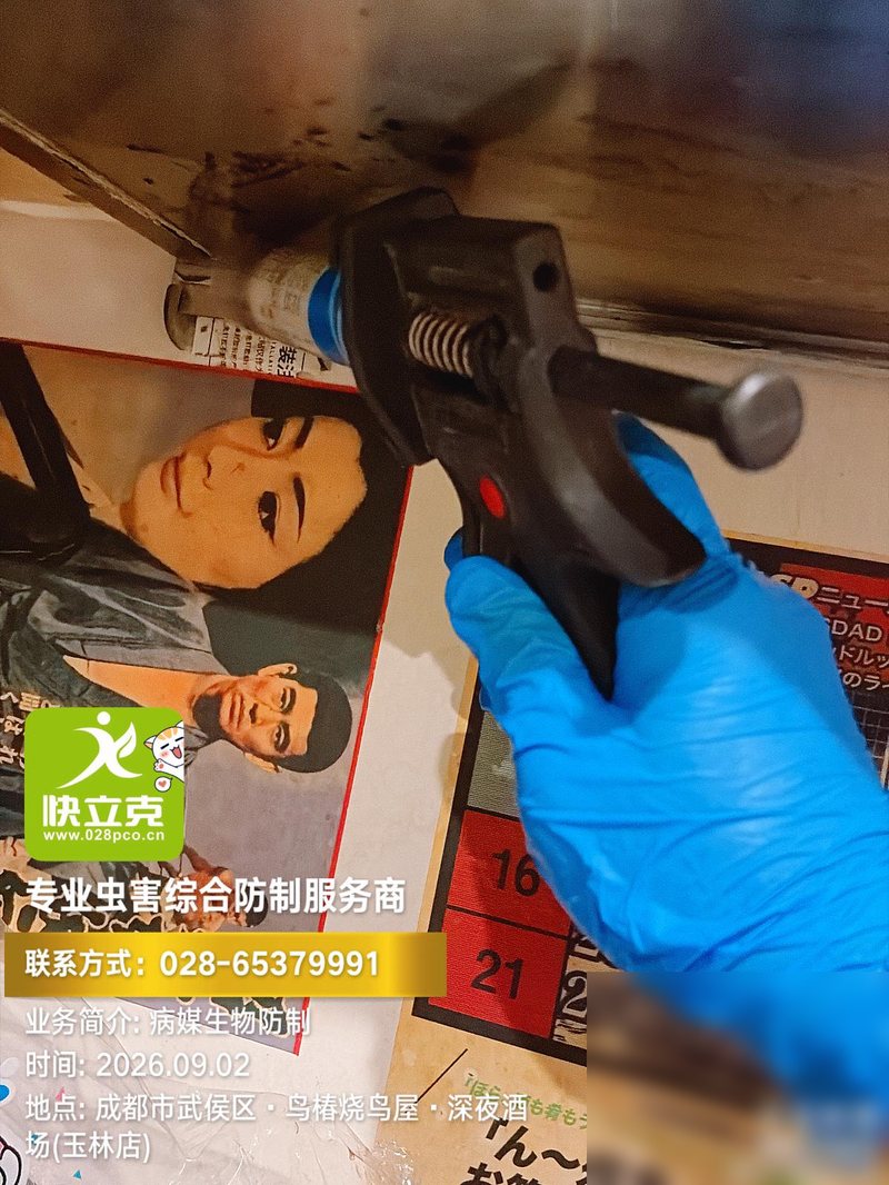 图 1　餐饮门店现场施药：器械选型与施药手法，直接决定药效能不能过 80% 这条线