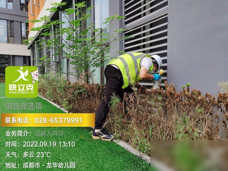 绿化带与灌木丛处理：成蚊栖息的阴湿植被是重点施药区域
