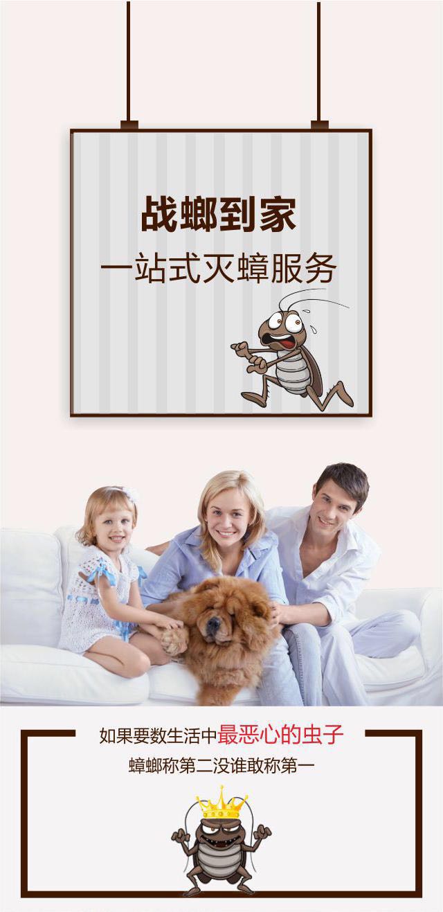 战螂到家服务