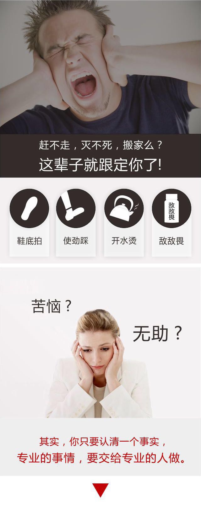 战螂到家服务