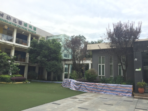 泡桐树幼儿园白蚁防制