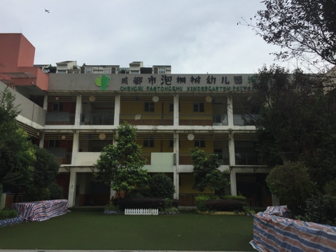泡桐树幼儿园白蚁防制