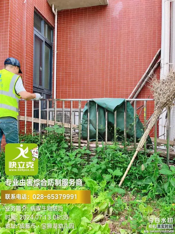 龙泉驿区宝狮湖幼儿园-厨房蟑螂防治-粘捕板点位布设