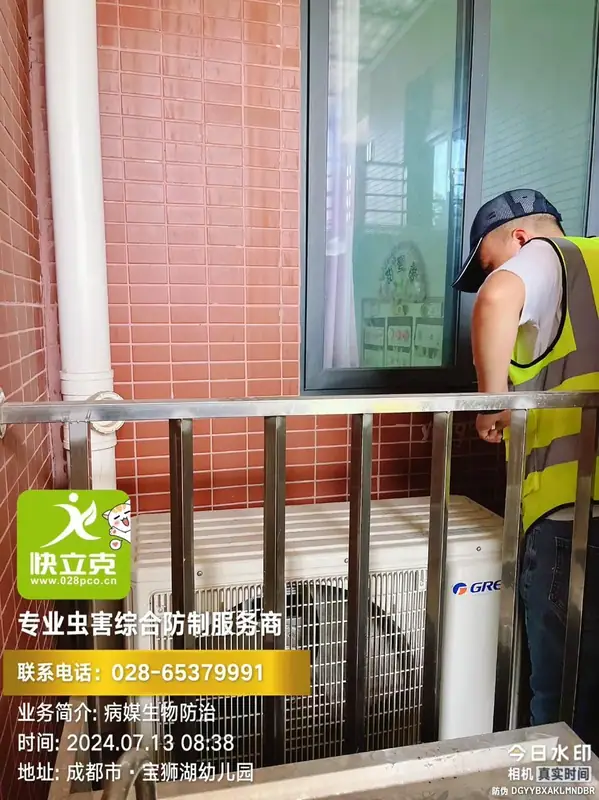 龙泉驿区宝狮湖幼儿园-厨房蟑螂防治-食品仓库货架周边处理