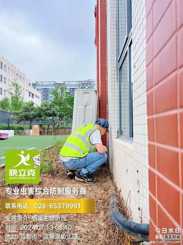 龙泉驿区宝狮湖幼儿园-厨房蟑螂防治-排水口与管道周边封堵
