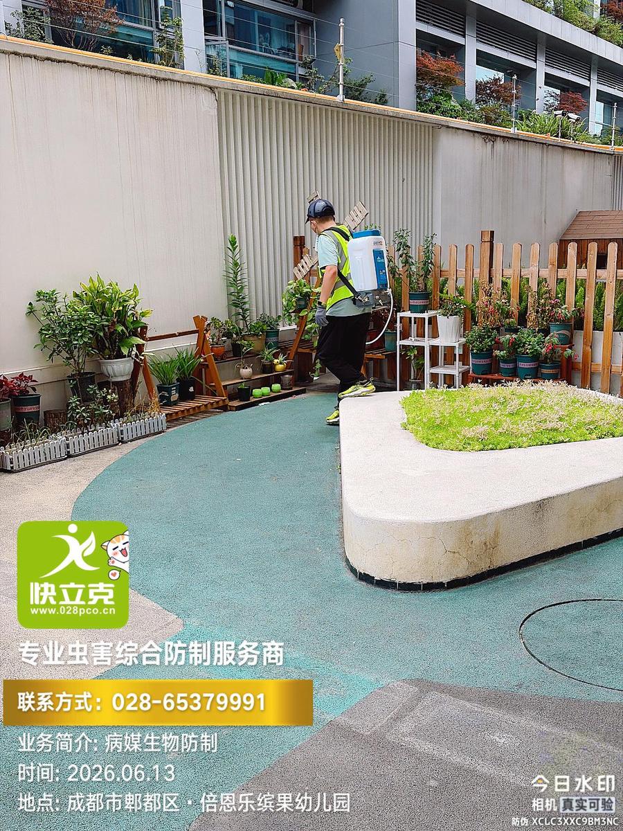 郫都区倍恩乐·缤果幼儿园-教室区常规处理