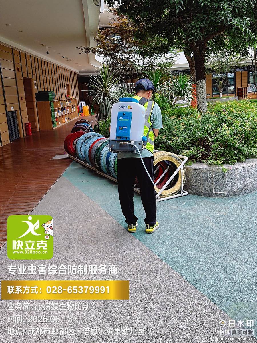 郫都区倍恩乐·缤果幼儿园-绿化带季节性处理