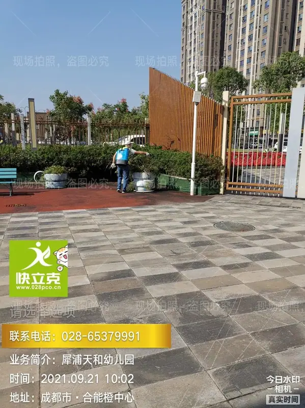 郫都区缤果格林天和幼儿园-蚂蚁防治-墙缝蚁巢定位
