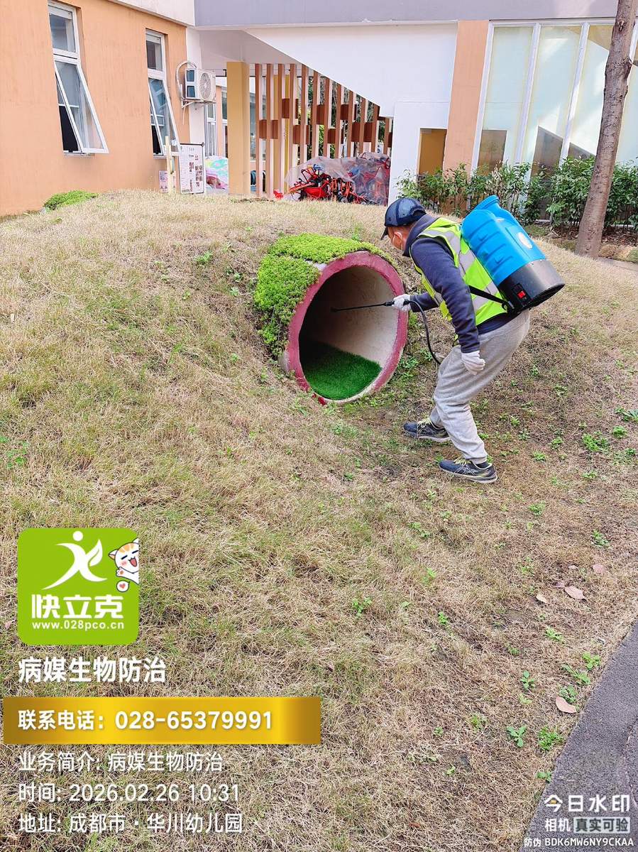 龙泉驿区华川幼儿园-开学前虫害处理-教室墙角与储物柜处理