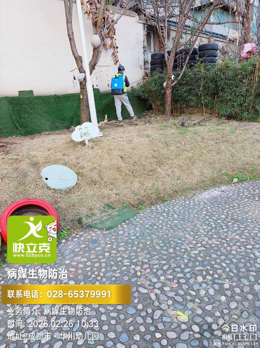 龙泉驿区华川幼儿园-开学前虫害处理-午睡室床架周边处理