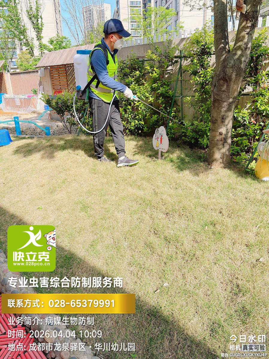 龙泉驿区华川幼儿园-开学前消杀-施工后通风