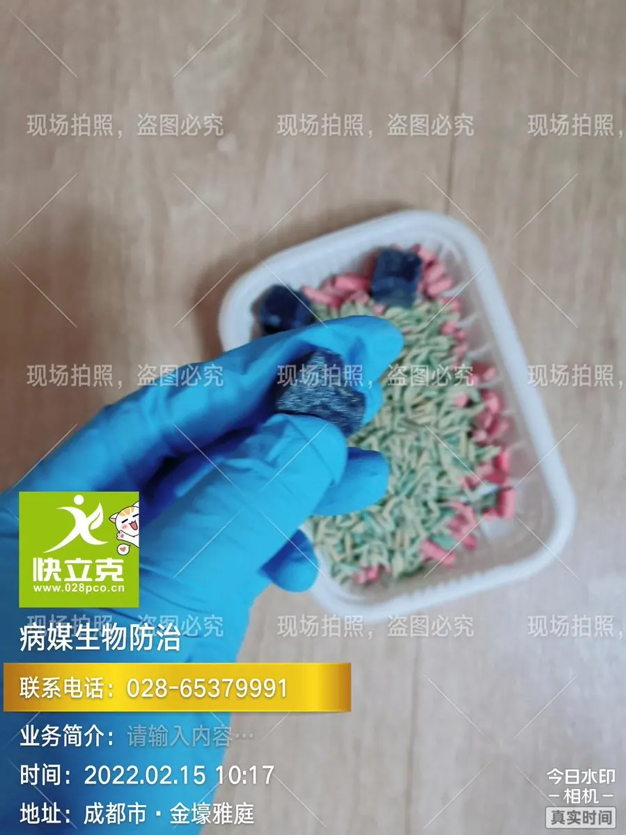 郫都区灵洋洋幼儿园-鼠类防控-外围诱饵站布设