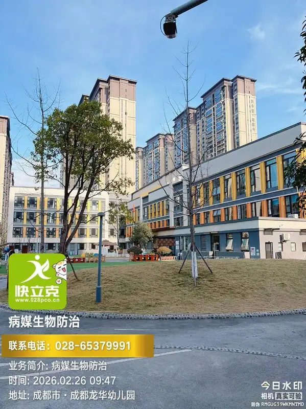龙泉驿区龙华幼儿园-现场巡查与蚊虫防治