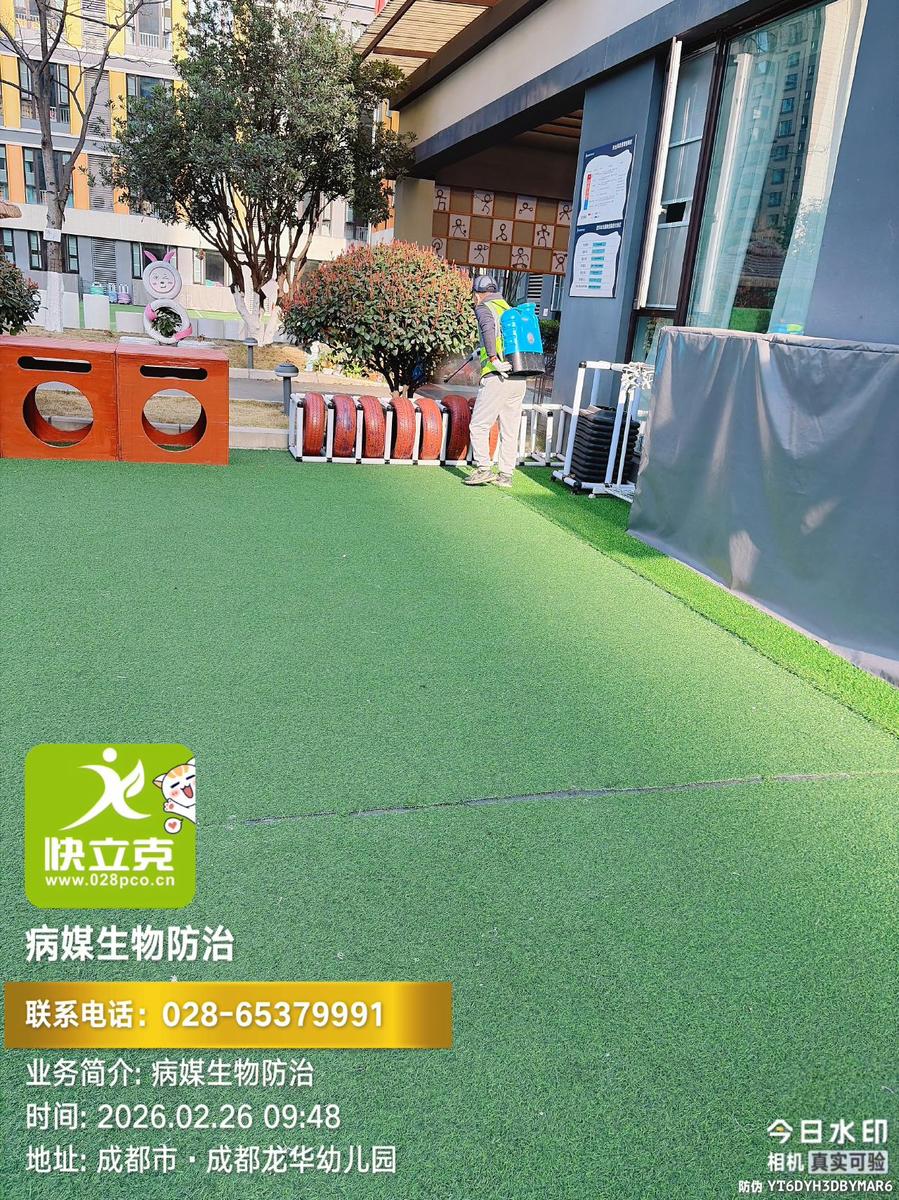 龙泉驿区龙华幼儿园-蚊虫防治-户外活动区器材周边处理
