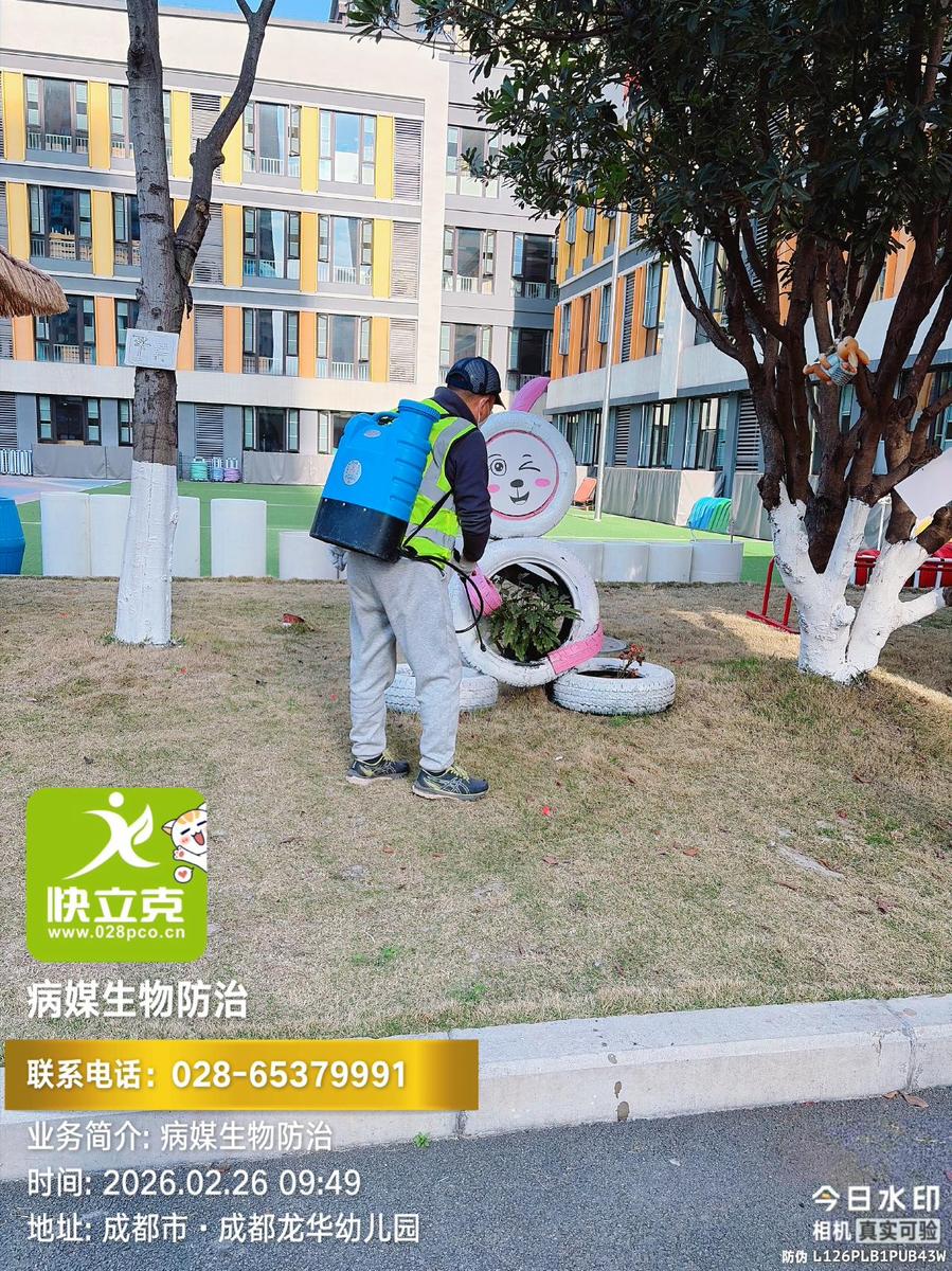 龙泉驿区龙华幼儿园-蚊虫防治-教室纱窗与出入口检查