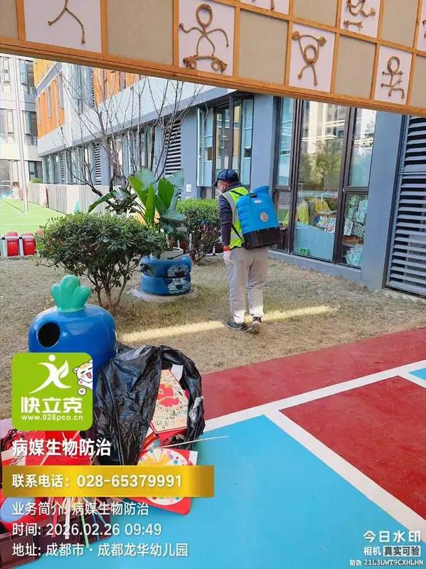 龙泉驿区龙华幼儿园-蚊虫防治-雨后复查孳生地