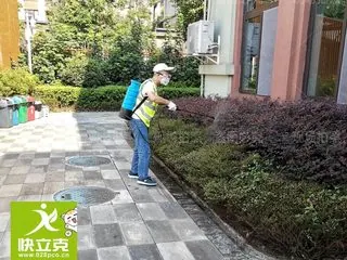 郫都区缤果格林天和幼儿园虫害管理案例 现场作业实景