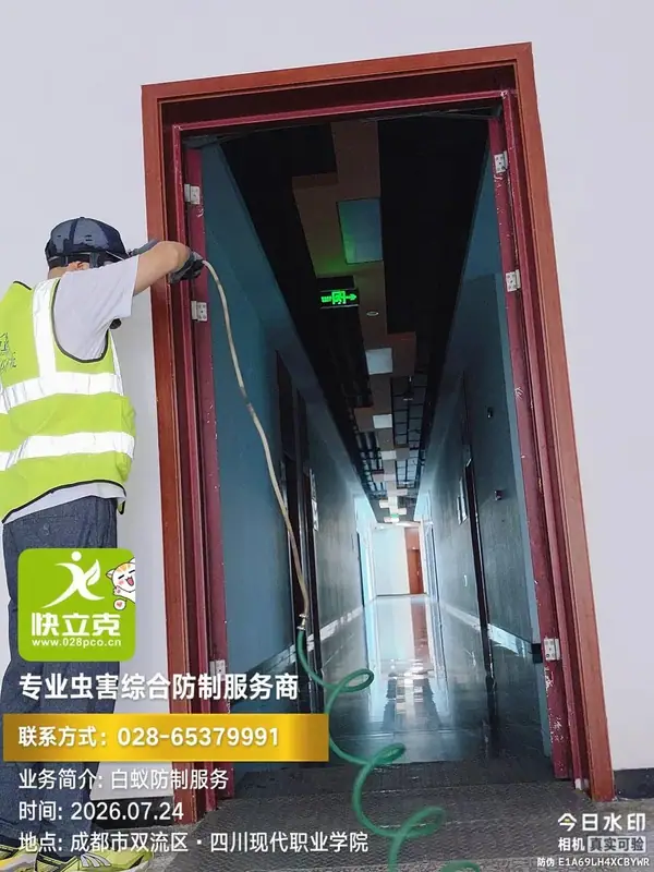 四川现代职业学院-白蚁防治-蚁路粉剂处理