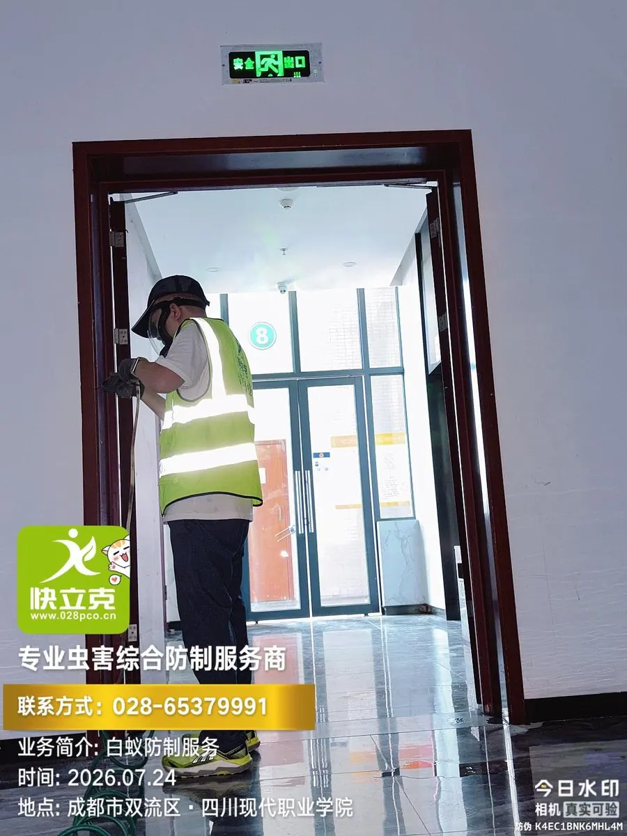 四川现代职业学院-白蚁防治-吊顶内隐蔽部位检查