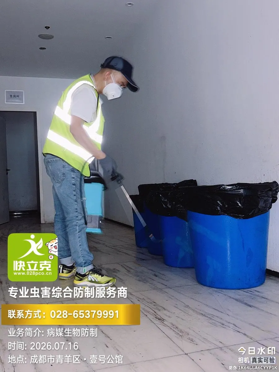 成都元本教育培训学校-教室课桌椅周边处理