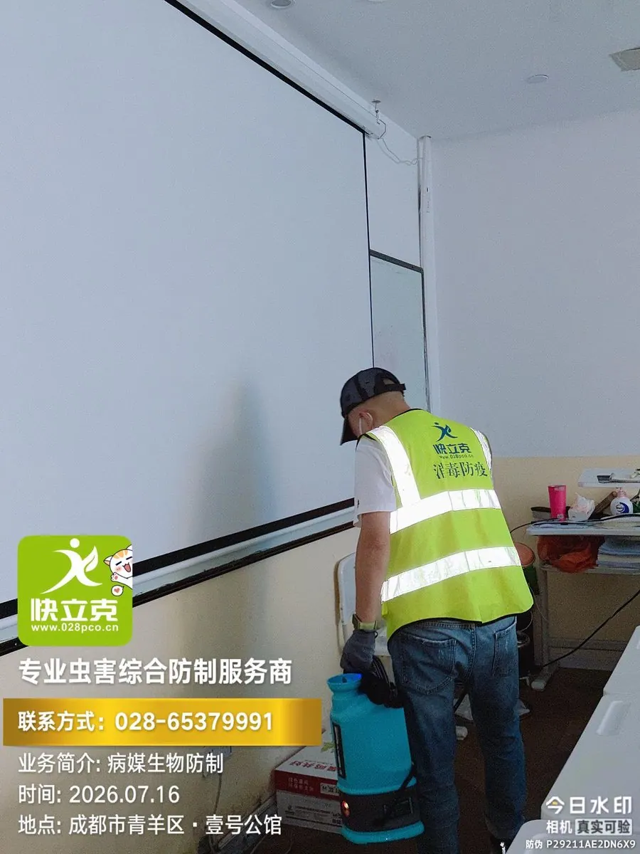 成都元本教育培训学校-走廊与公共区处理