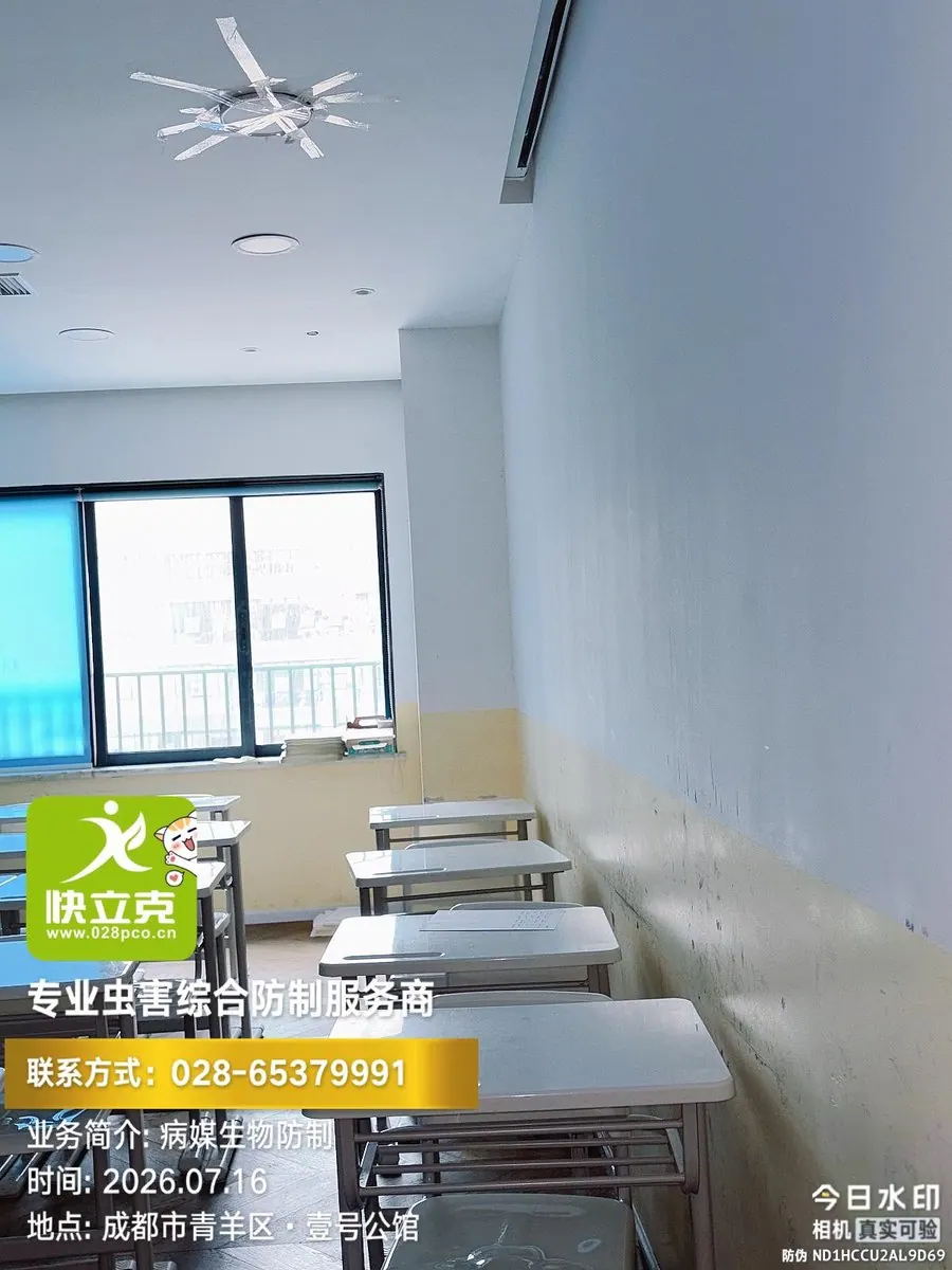 成都元本教育培训学校-储物间与教材堆放区