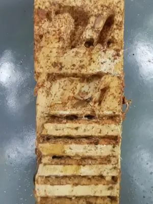 施工现场作业照片 1：快立克环保成都上门服务实拍