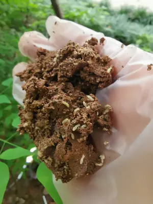 施工现场作业照片 2：快立克环保成都上门服务实拍