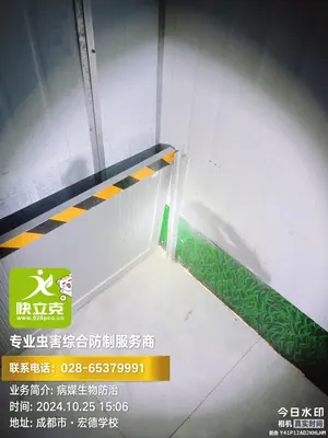 施工现场作业照片 4：快立克环保成都上门服务实拍