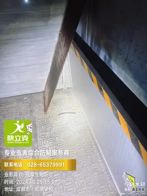 施工现场作业照片 5：快立克环保成都上门服务实拍