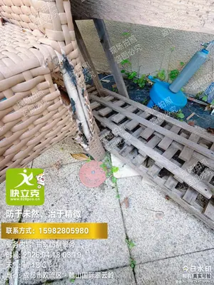 施工现场作业照片 13：快立克环保成都上门服务实拍